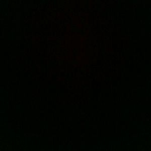 Meet your Posher, Rose